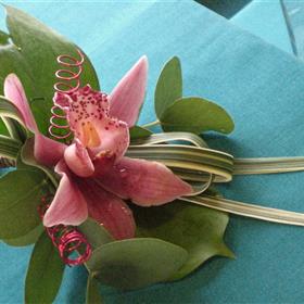 fwthumbOrchid BH.jpg